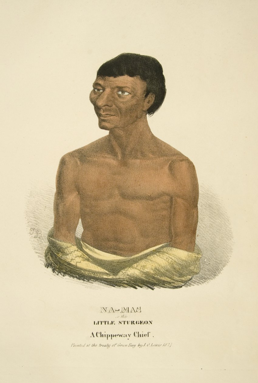 Na-mas ou o pequeno esturjão de James Otto Lewis