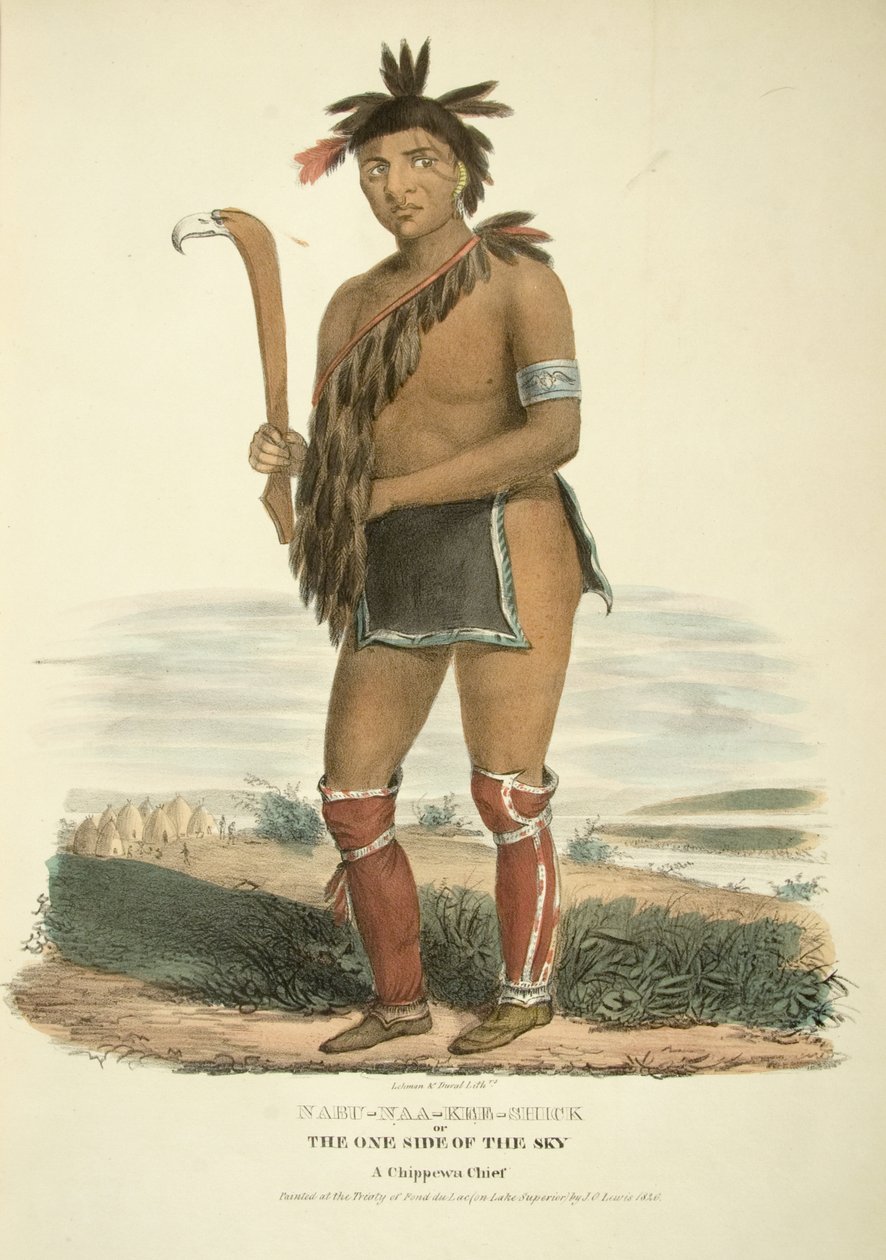 Nabu-naa-kee-shick ou o um lado do céu de James Otto Lewis