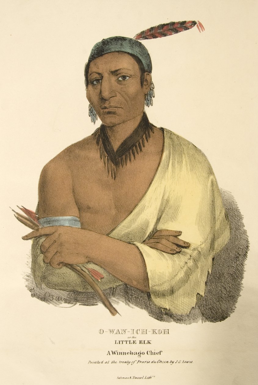 O-wan-ich-koh ou o pequeno alce de James Otto Lewis