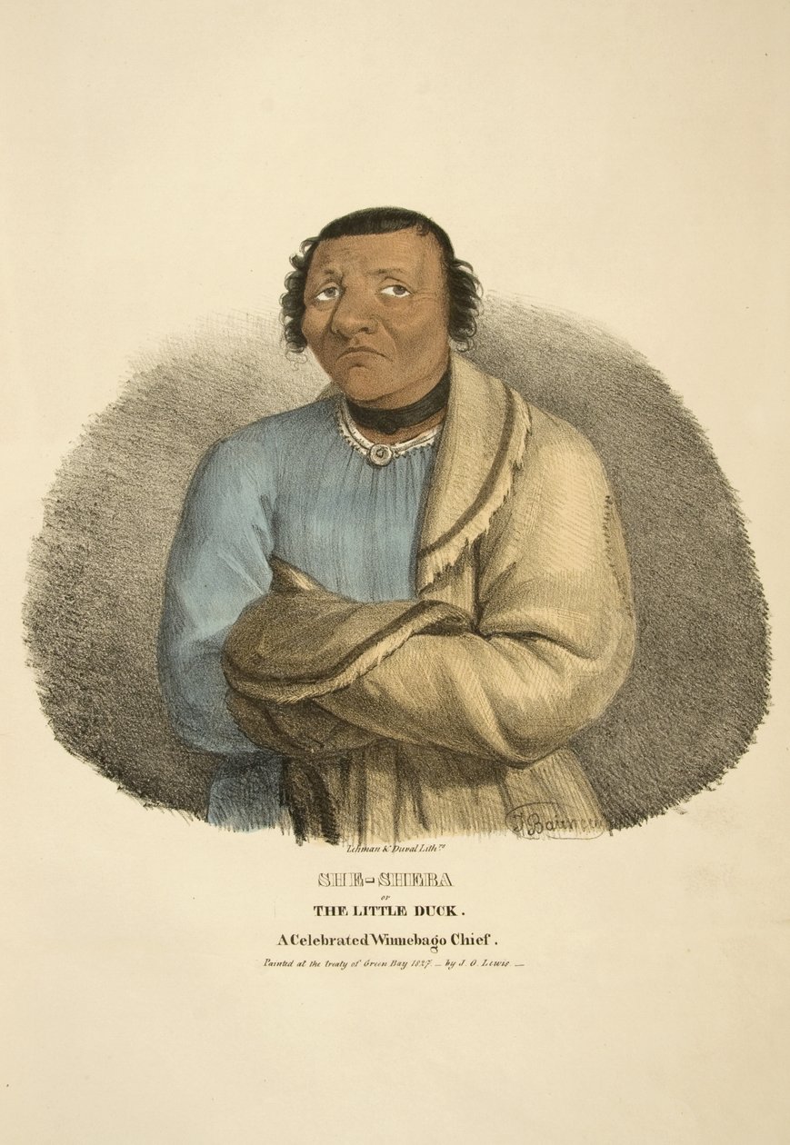Sheba ou o pato pequeno de James Otto Lewis