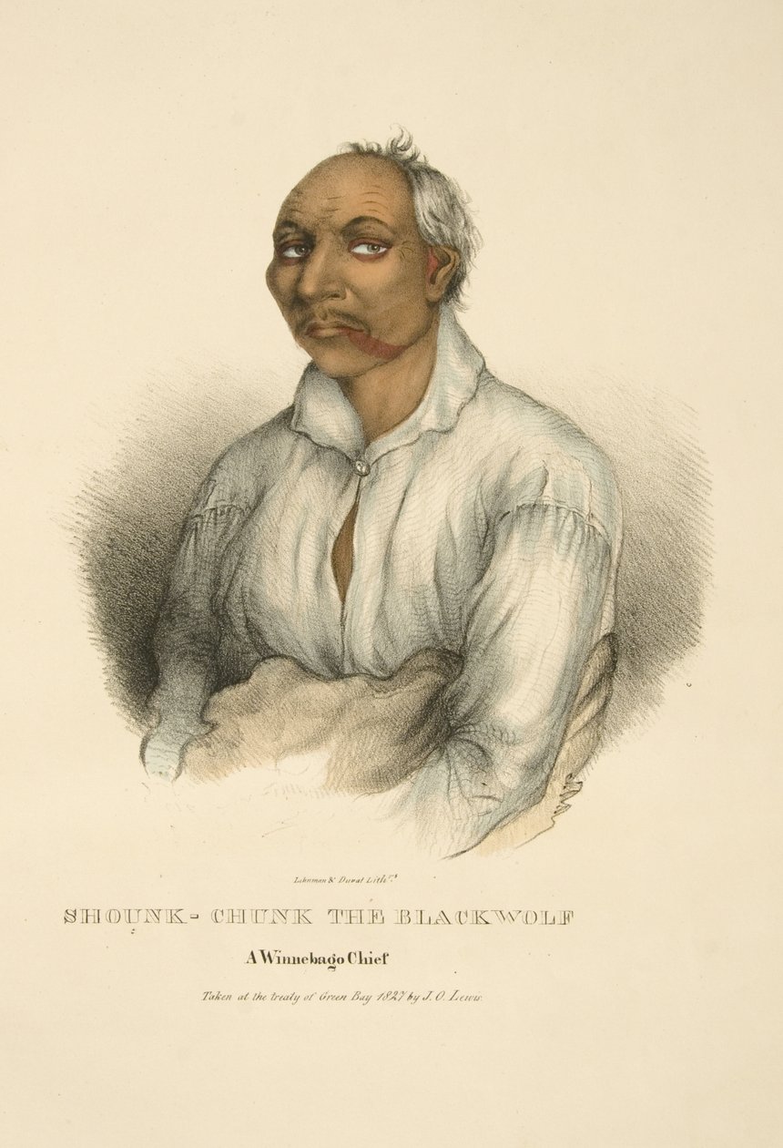 Shounk-pedaço do Blackwolf de James Otto Lewis