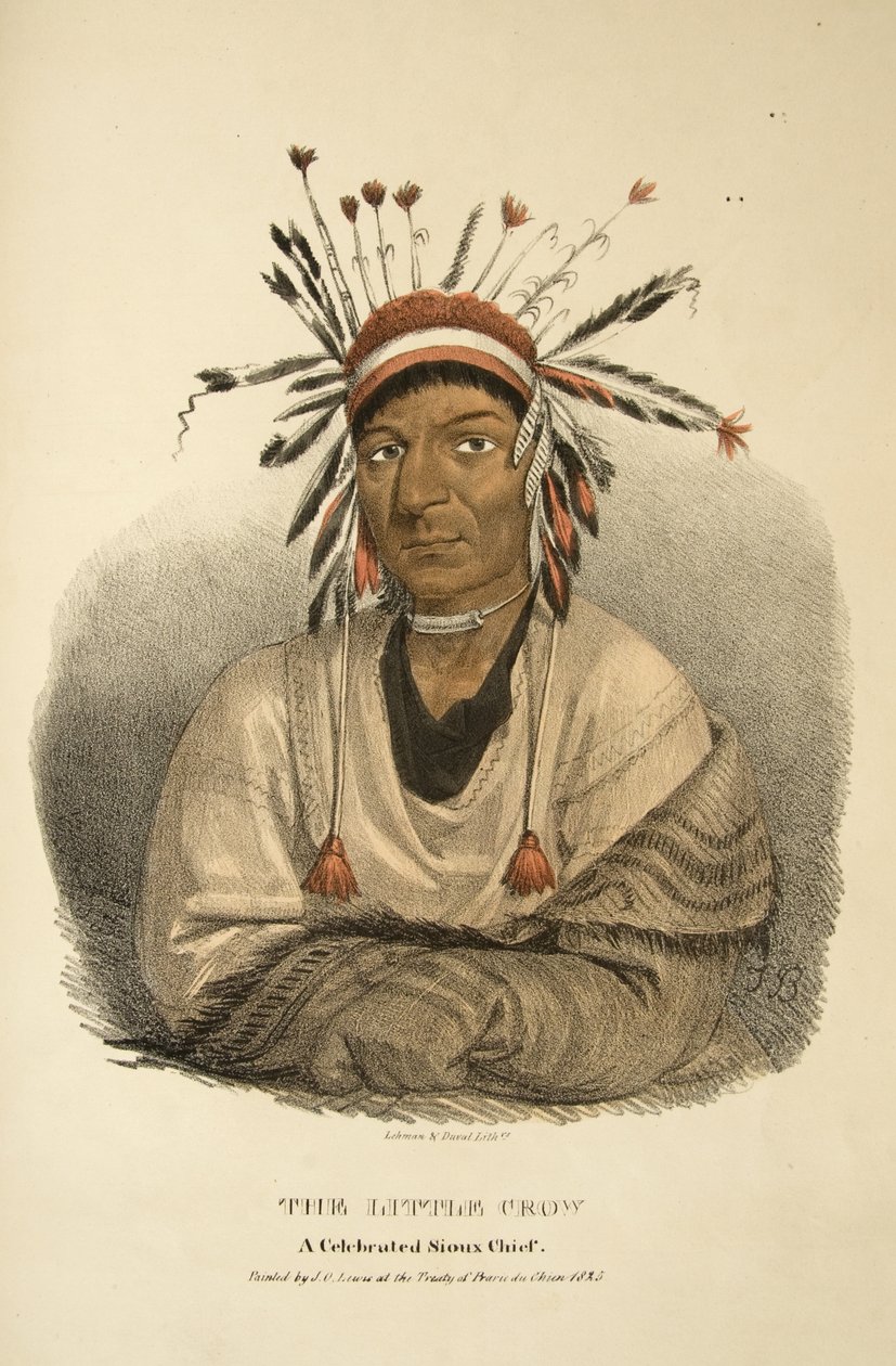 O pequeno corvo de James Otto Lewis