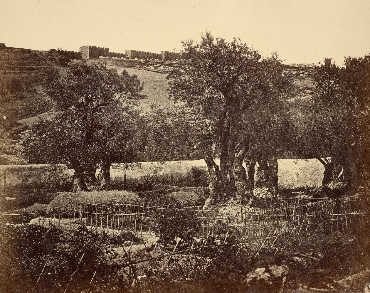 O Jardim do Getsêmani de James Robertson