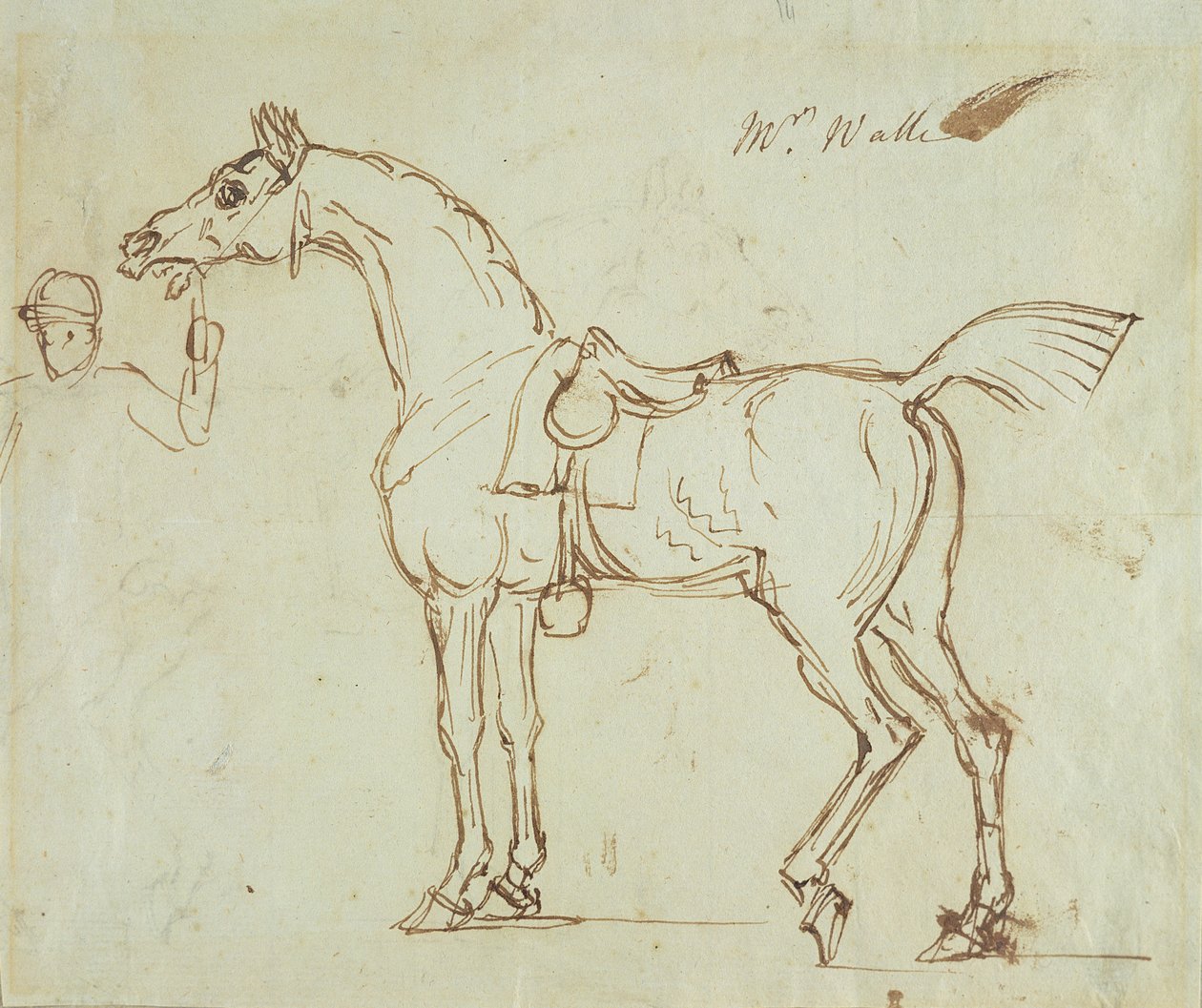 Um cavalo de corrida, freado e selado (caneta e tinta no papel) de James Seymour