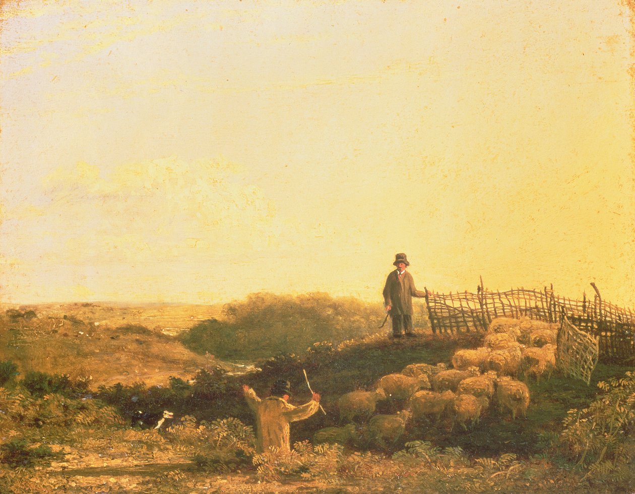 Penning the Flock de James Stark
