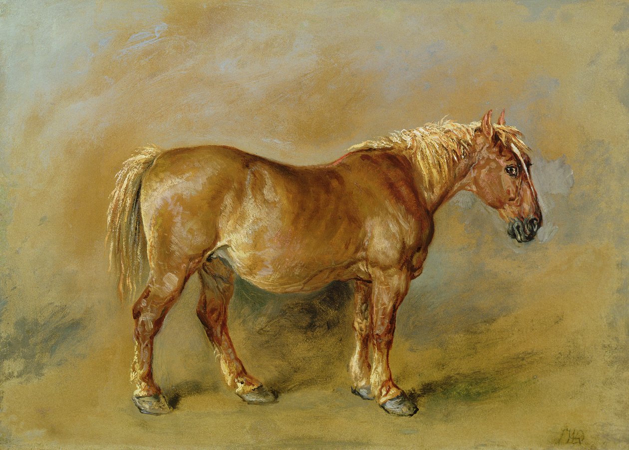 Um Suffolk Punch (óleo sobre papel colocado na tela) de James Ward