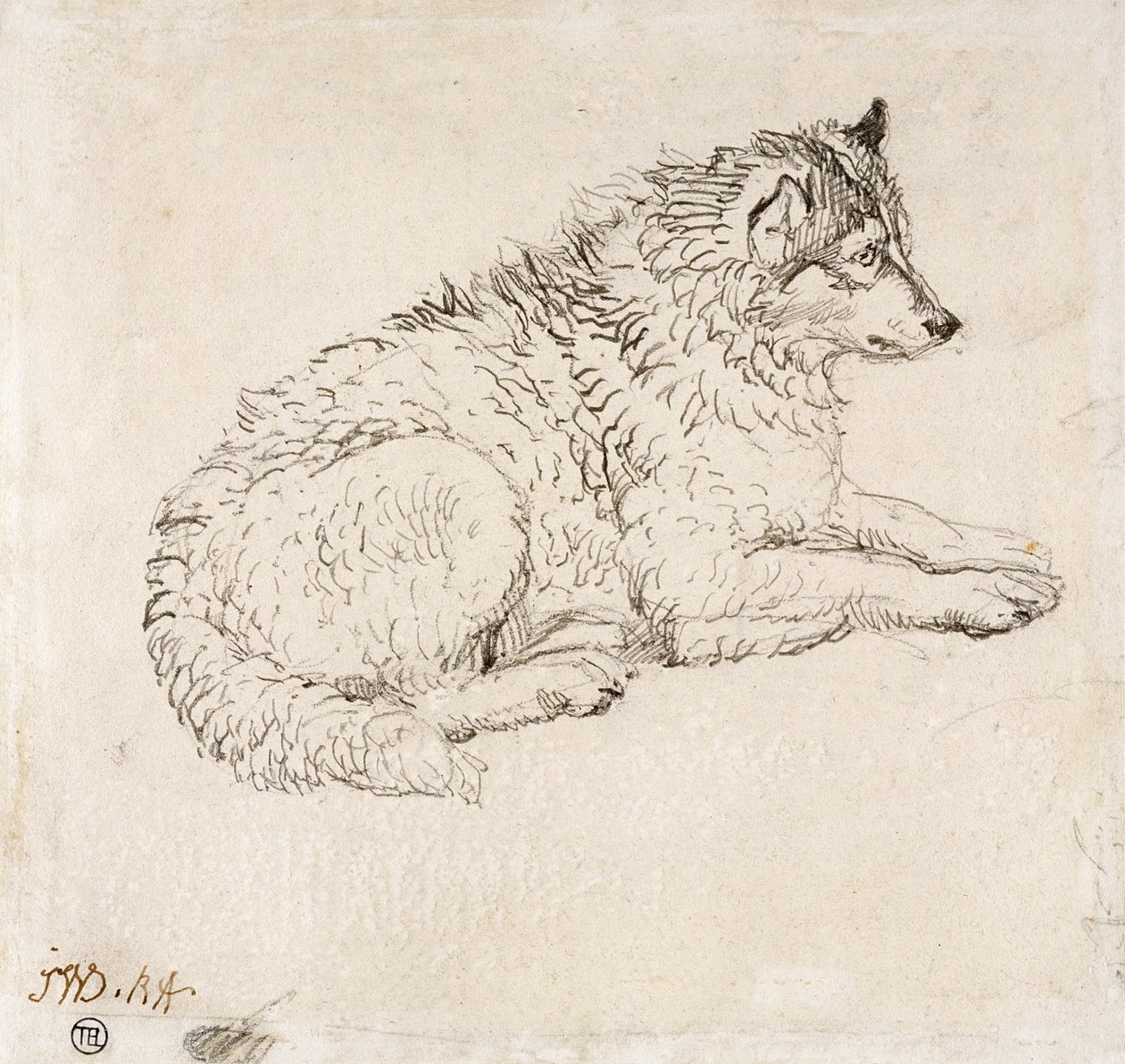 Cão Ártico, virado para a direita de James Ward