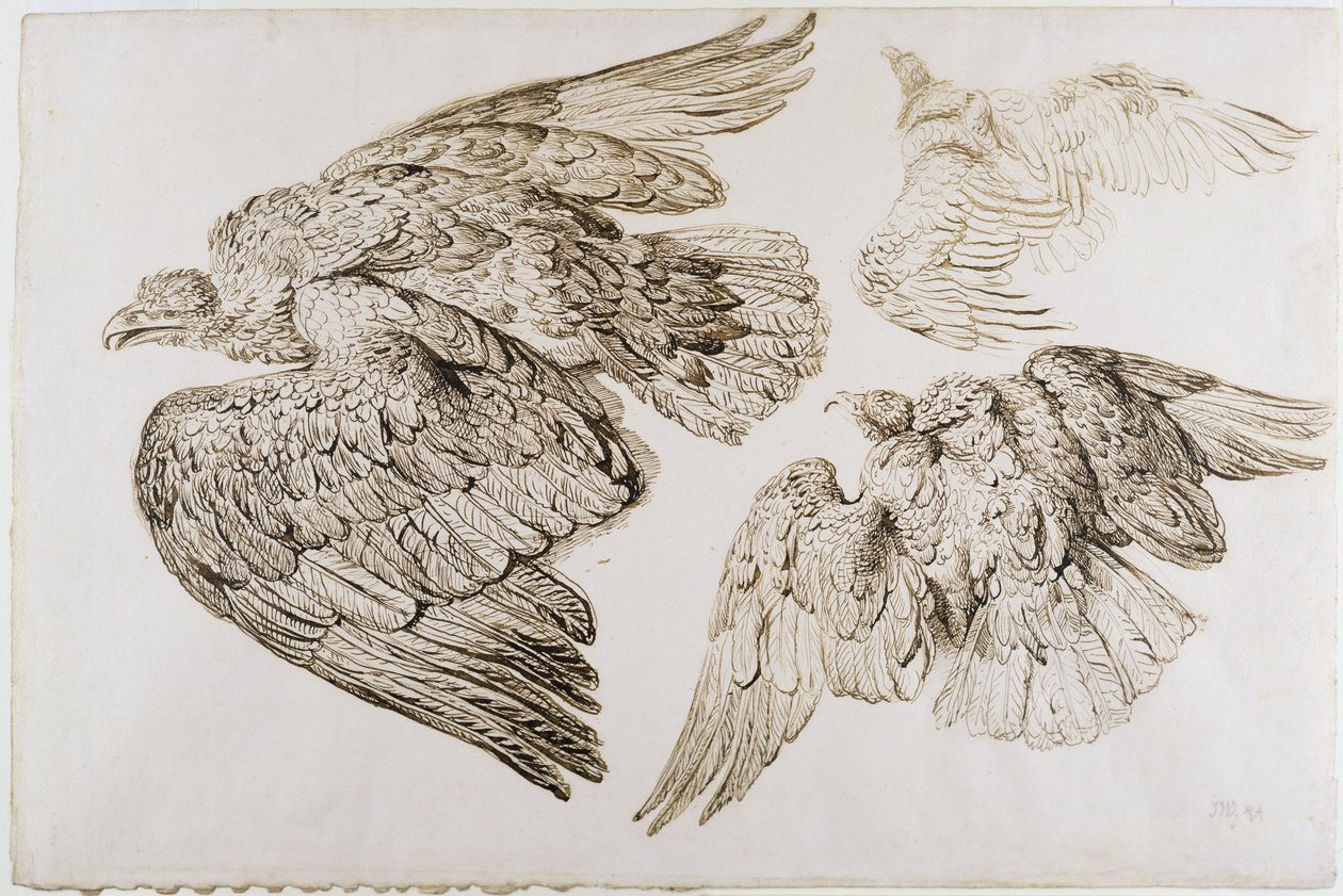 Águias (caneta e tinta marrom no papel) de James Ward
