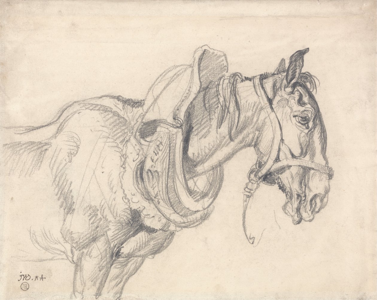 Cabeça e ombros de um cavalo de carroça de James Ward