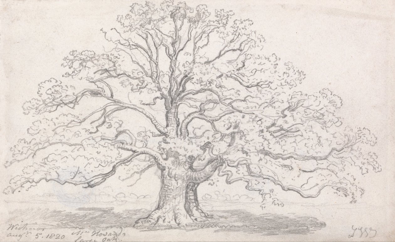 Sr. Howards Large Oak, 5 de agosto de 1820 de James Ward