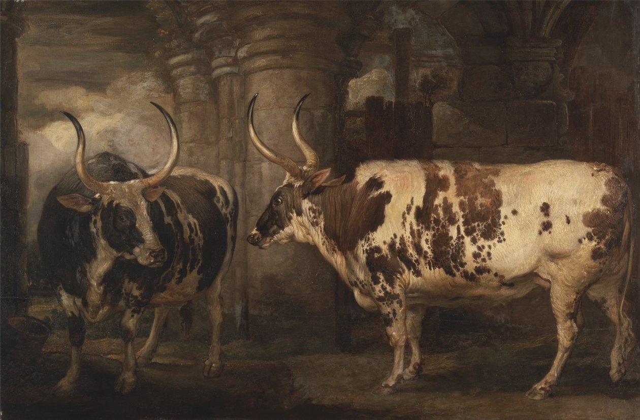 Retratos de dois bois extraordinários, a propriedade do conde de Powis de James Ward