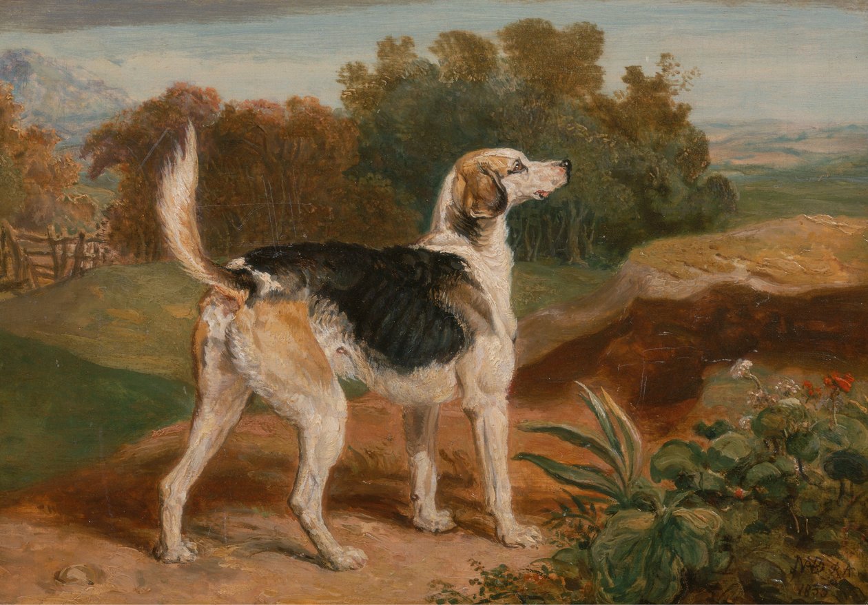 Devastador, um dos cães de Lambton de James Ward