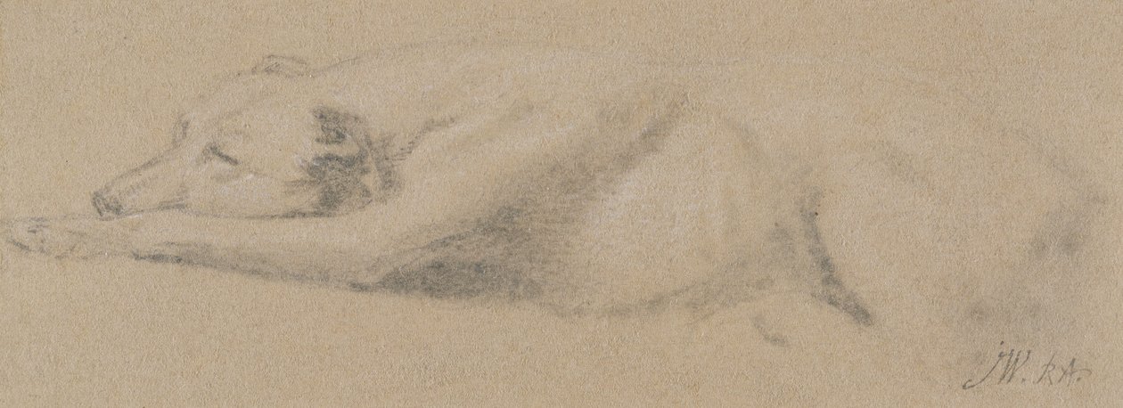 Estudo de um cão dormindo (giz preto sobre papel amarelo) de James Ward