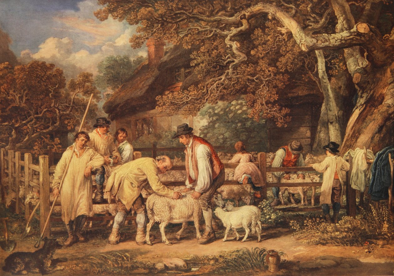 Tosquia de ovelhas, c.1820 (cor litho) de James (after) Ward