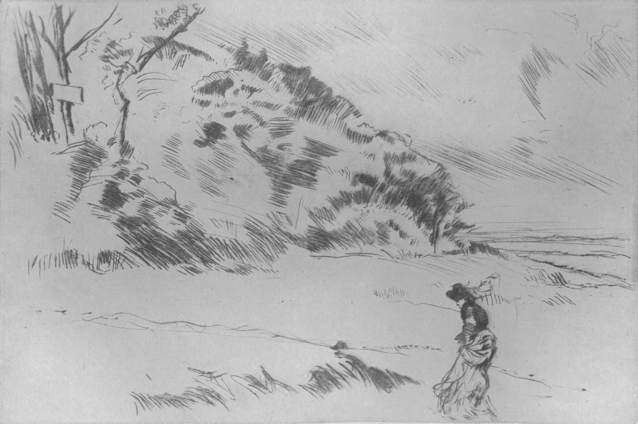 São Paulo, São Paulo. de James Abbott McNeill Whistler