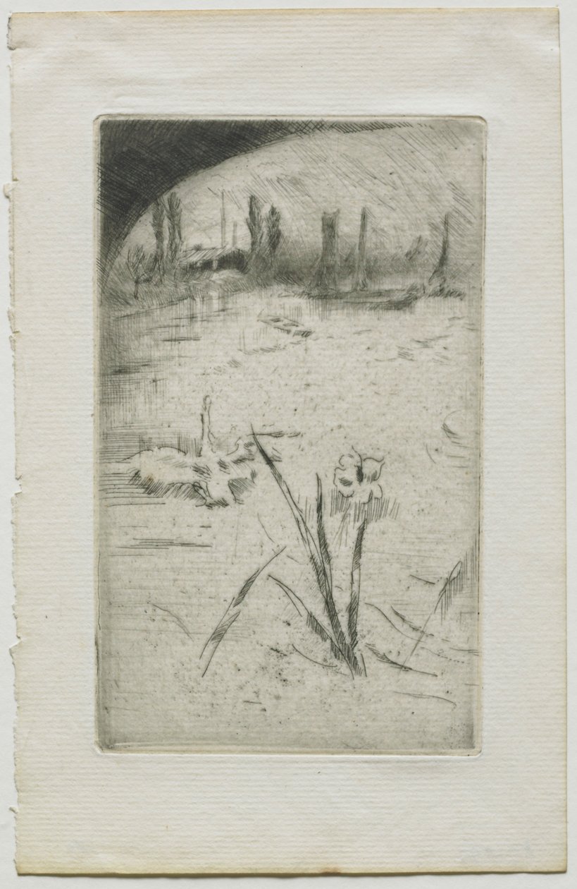 Swan e Iris, 1883. de James Abbott McNeill Whistler