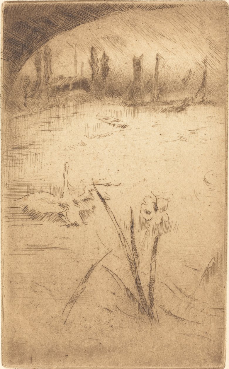 Swan e Iris, publicado em 1883. de James Abbott McNeill Whistler