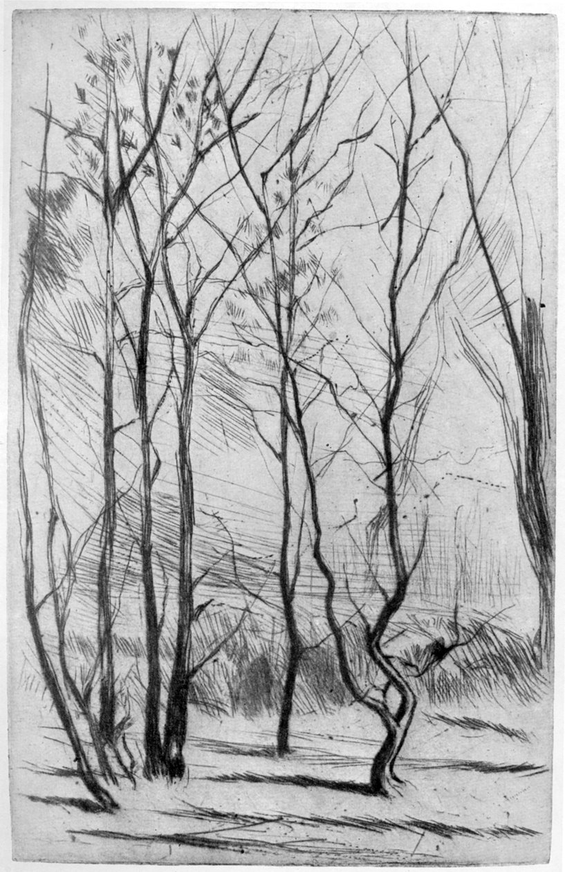 A madeira da represa, c1875 1904. de James Abbott McNeill Whistler