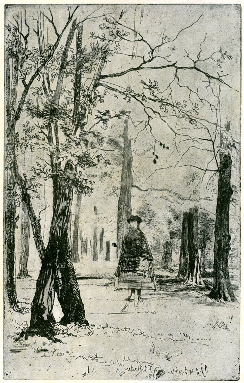 The Wood, século XIX, 1904. de James Abbott McNeill Whistler