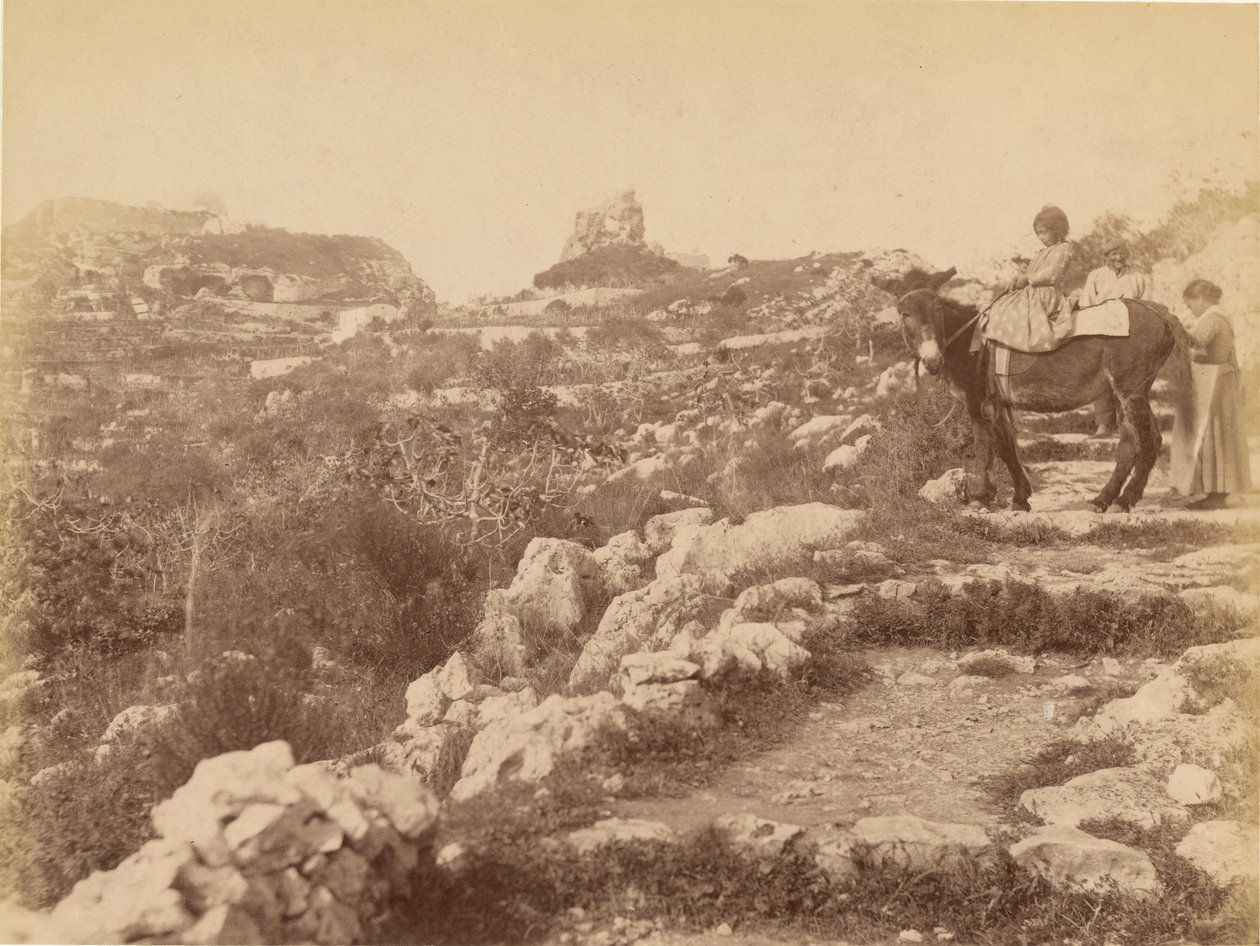Capri [criança na mula] de James Anderson