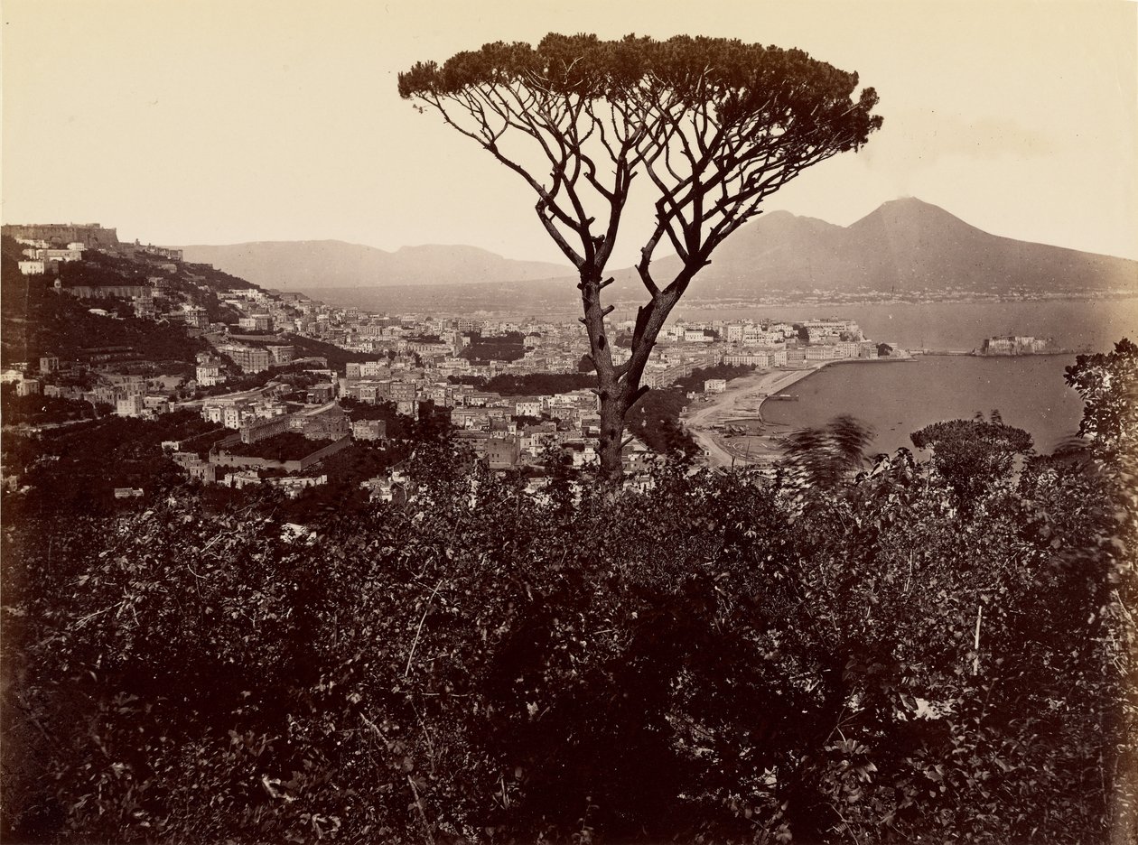 Panorama de Nápoles de James Anderson