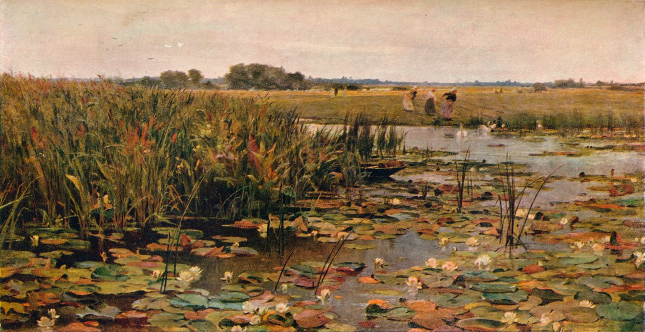 Lírios de água, c1870 de James Aumonier