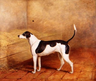 O cão de caça 
