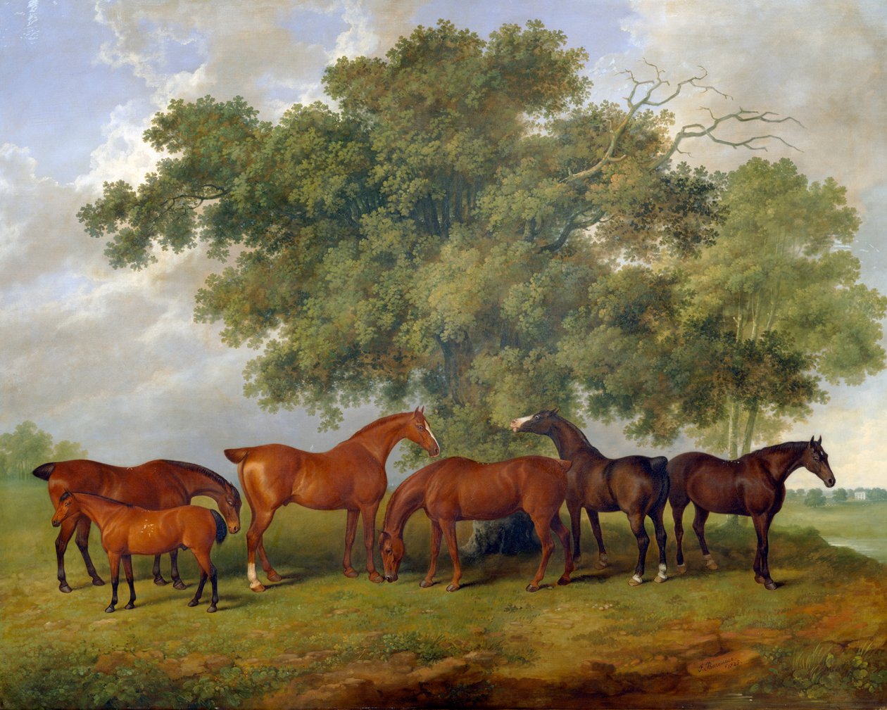 O Garanhão Theobald de James Barenger
