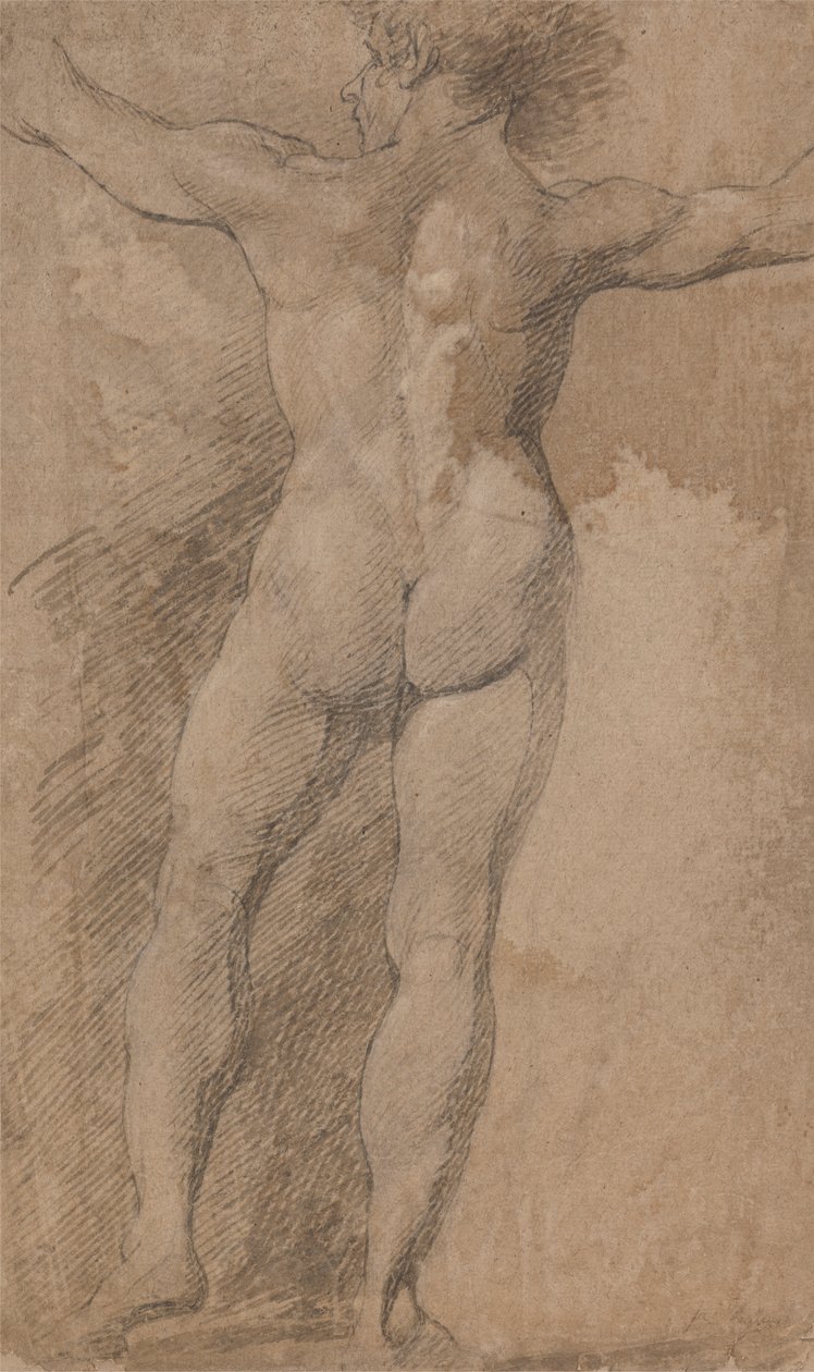 Macho com Braços Espalhados Visto de Trás de James Barry