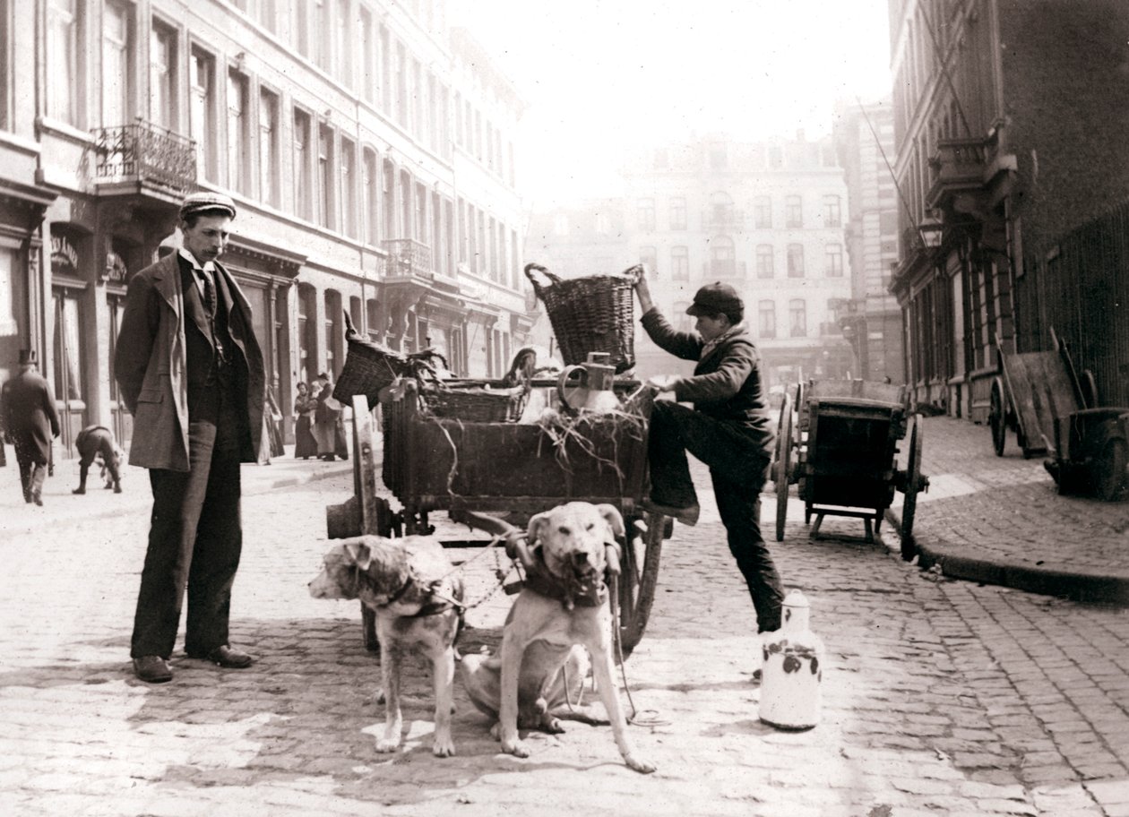 Menino com carro de cachorro, Antuérpia, 1898. de James Batkin