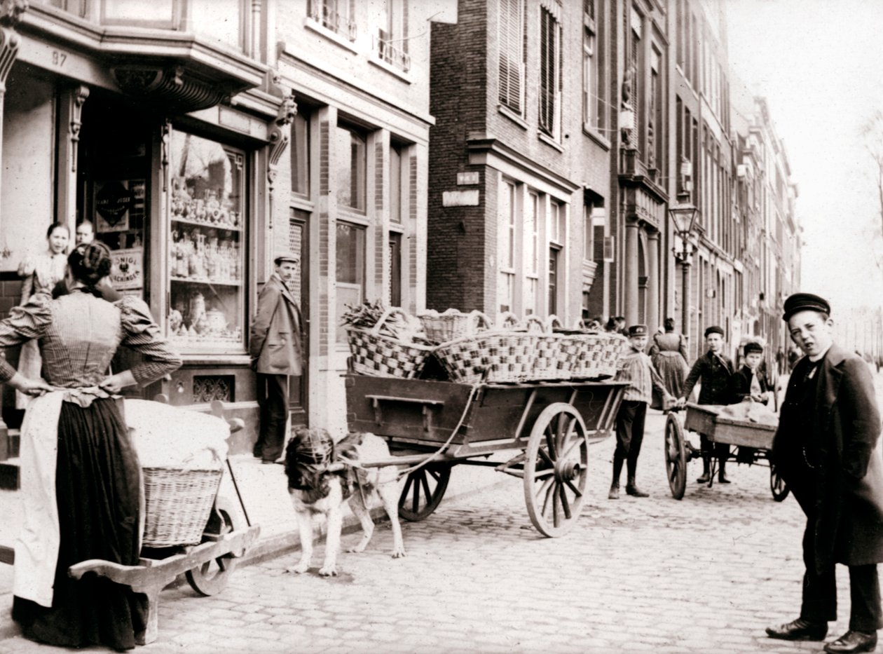 Dogcart, Antuérpia, 1898. de James Batkin