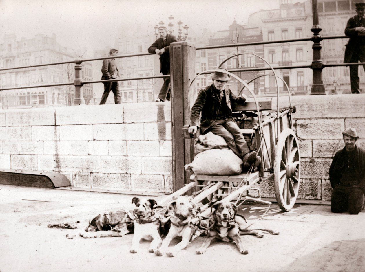 Homem com carroça, Antuérpia, 1898. de James Batkin
