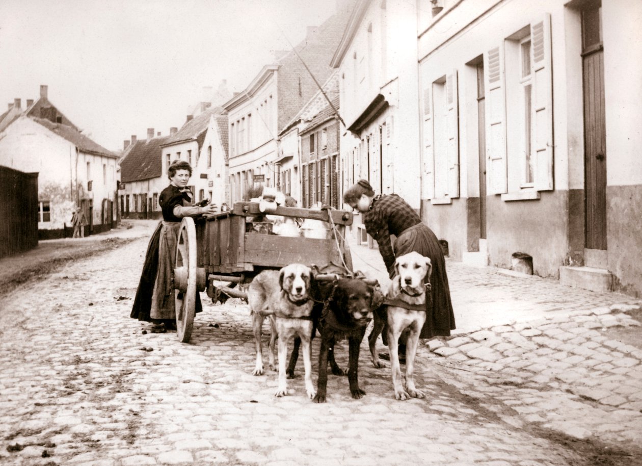 Mulheres e carro de cachorro, Antuérpia, 1898 de James Batkin