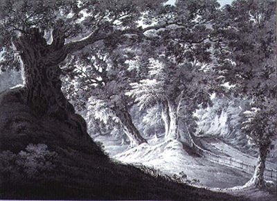 Beddington, Surrey de James Bourne