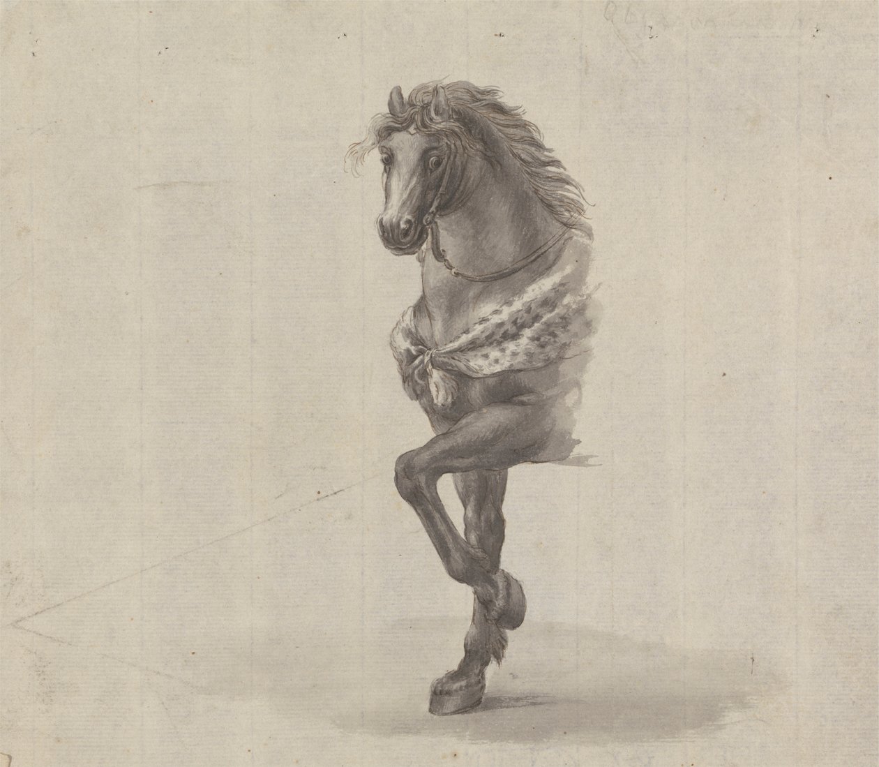 Estudo da Frente de um Cavalo de James Bruce