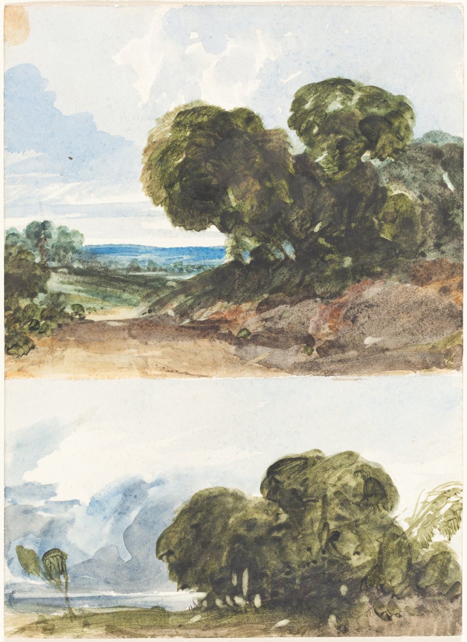 Dois esboços de árvores de James Bulwer