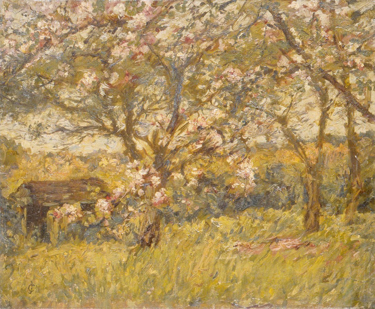 Flor de macieira (óleo sobre tela) de James Charles