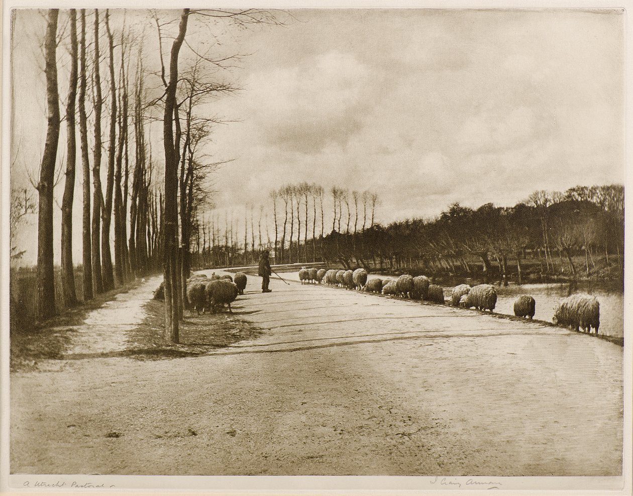 Em Utrecht Pastoral (fotogravura) de James Craig Annan