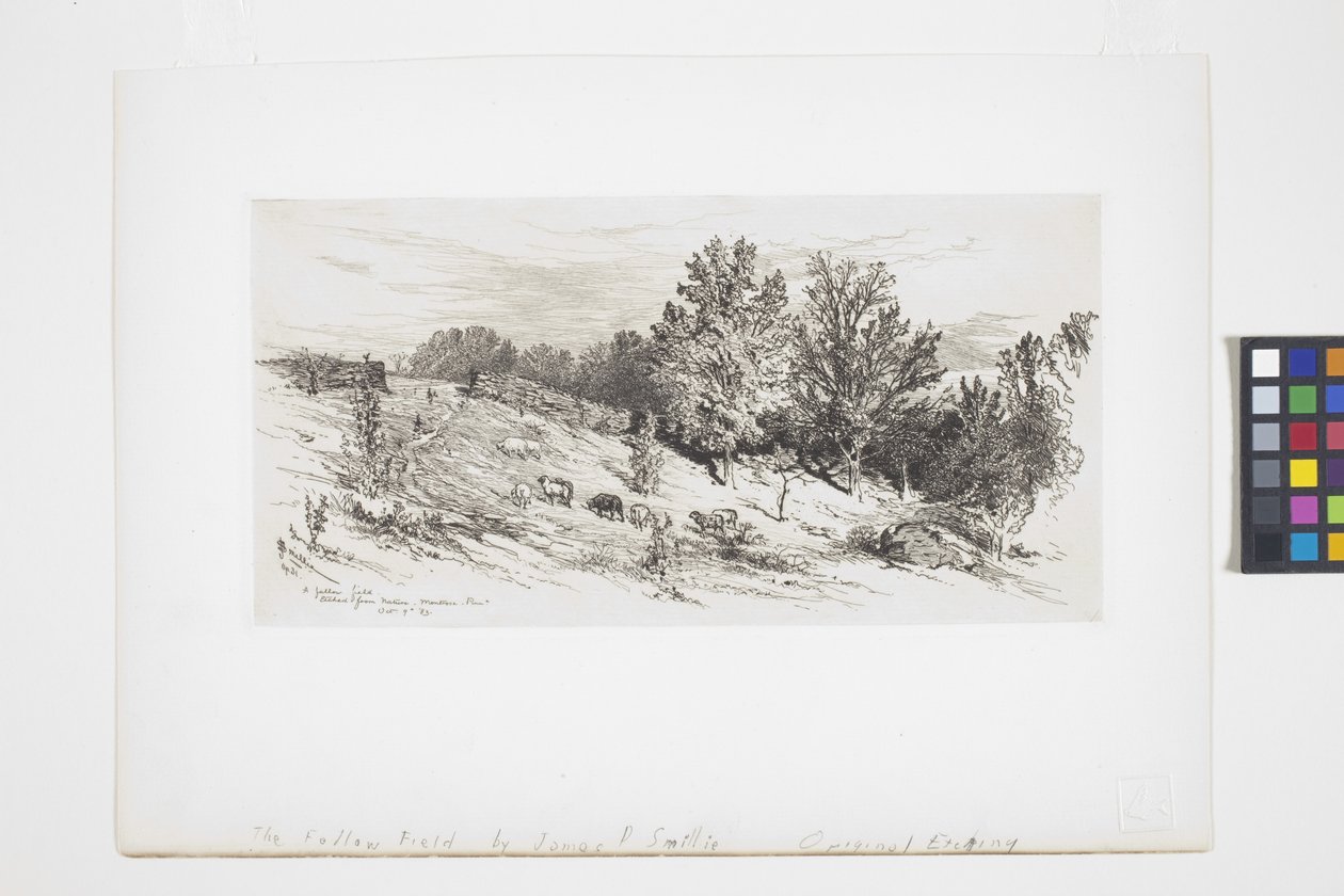 Um campo de pousio (tinta) de James David Smillie