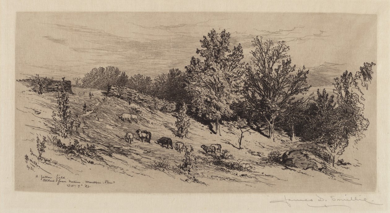 Um campo de pousio de James David Smillie