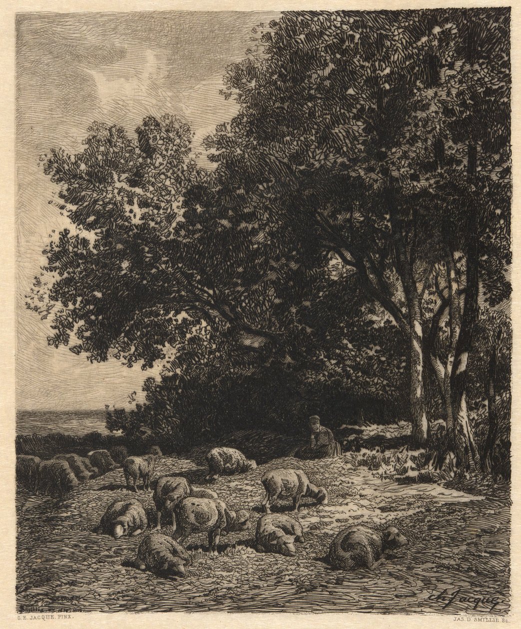 Paisagem e ovelhas de James David Smillie