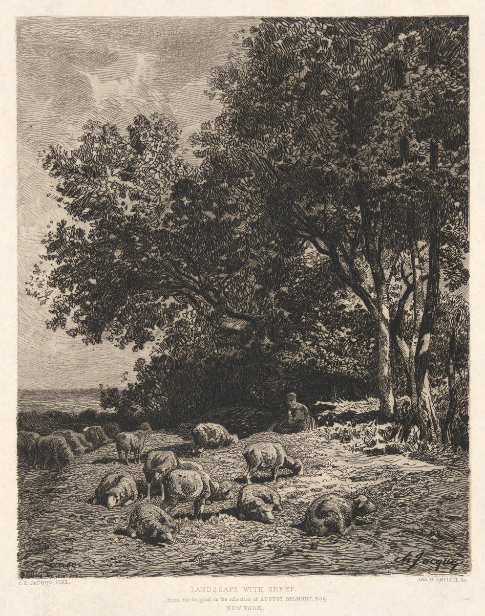 Paisagem com Ovelhas, depois de Ch-Jacque de James David Smillie