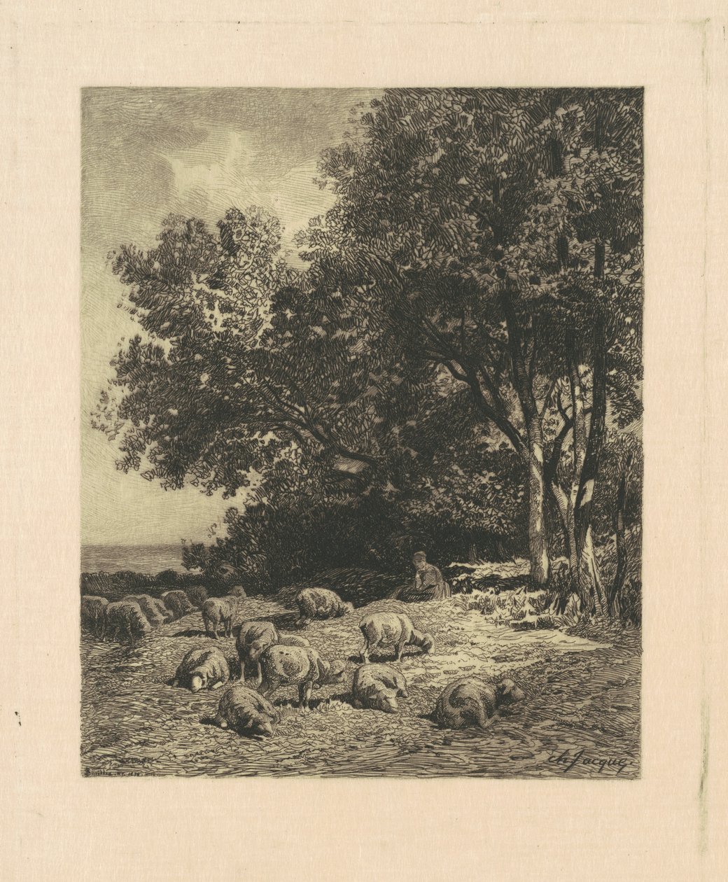 Paisagem com ovelhas de James David Smillie, after Charles Émile Jacque