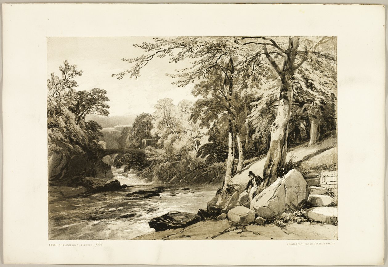 Faia e Freixo na Greta, do Parque e da Floresta de James Duffield Harding