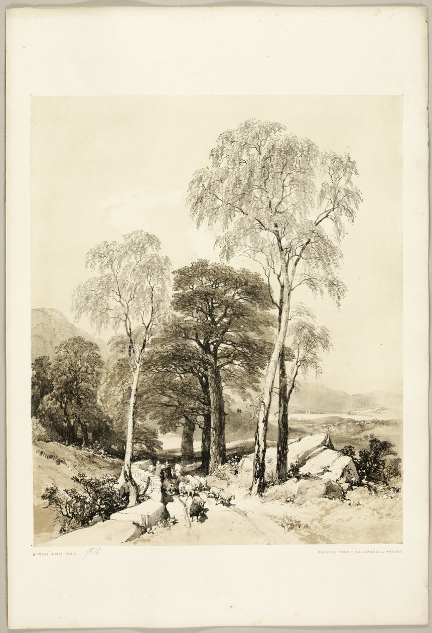 Bétula e Carvalho, de The Park and the Forest de James Duffield Harding