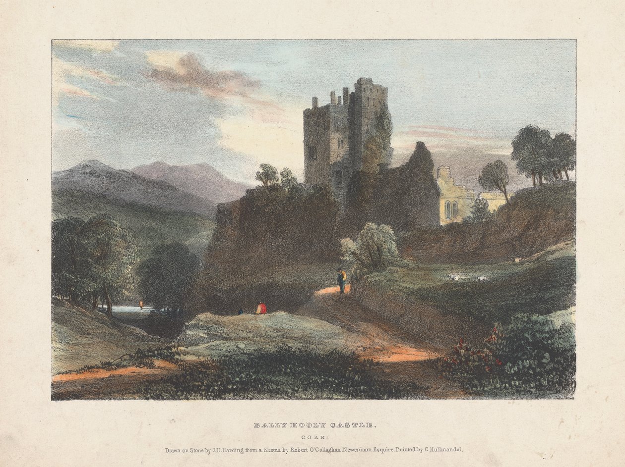 Castelo Dally Hooly de James Duffield Harding