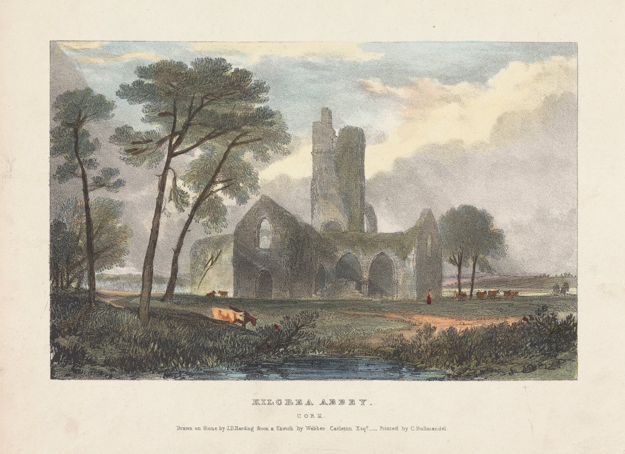 Abadia de Kilcrea de James Duffield Harding