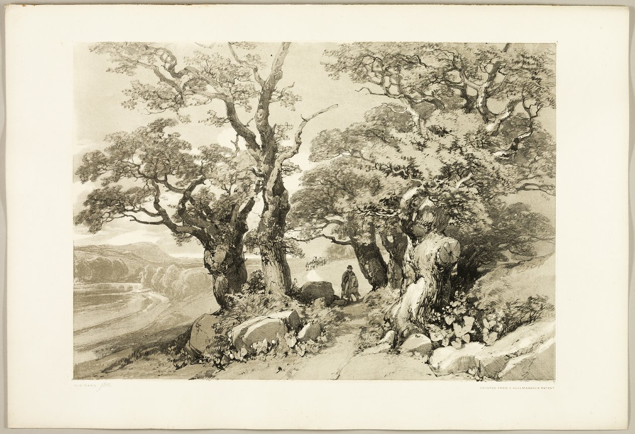 Old Oaks, do Parque e da Floresta de James Duffield Harding
