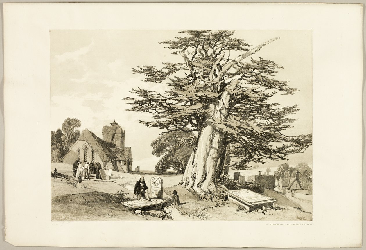 Teixo, do Parque e da Floresta de James Duffield Harding