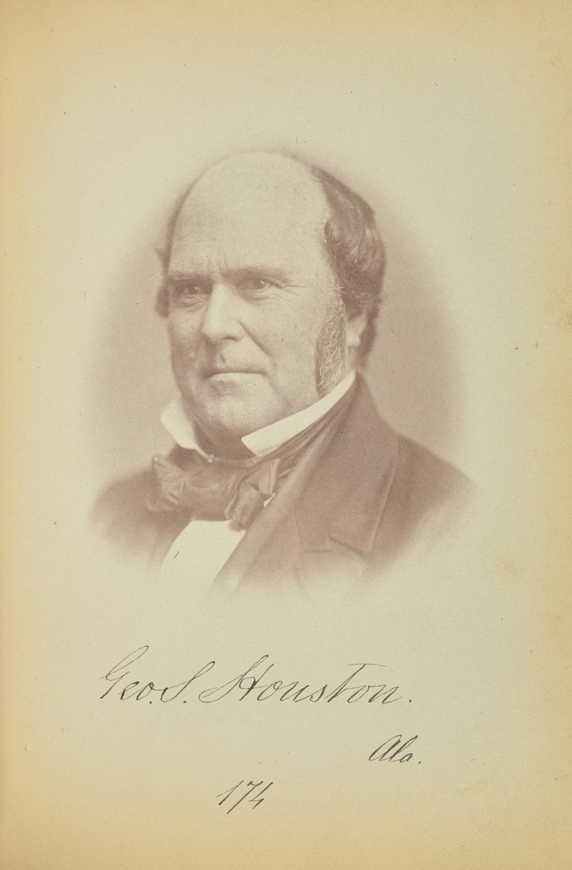 George S. Houston de James Earle McClees